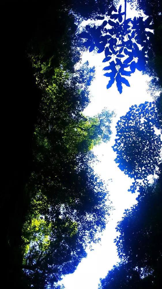 生化危机4